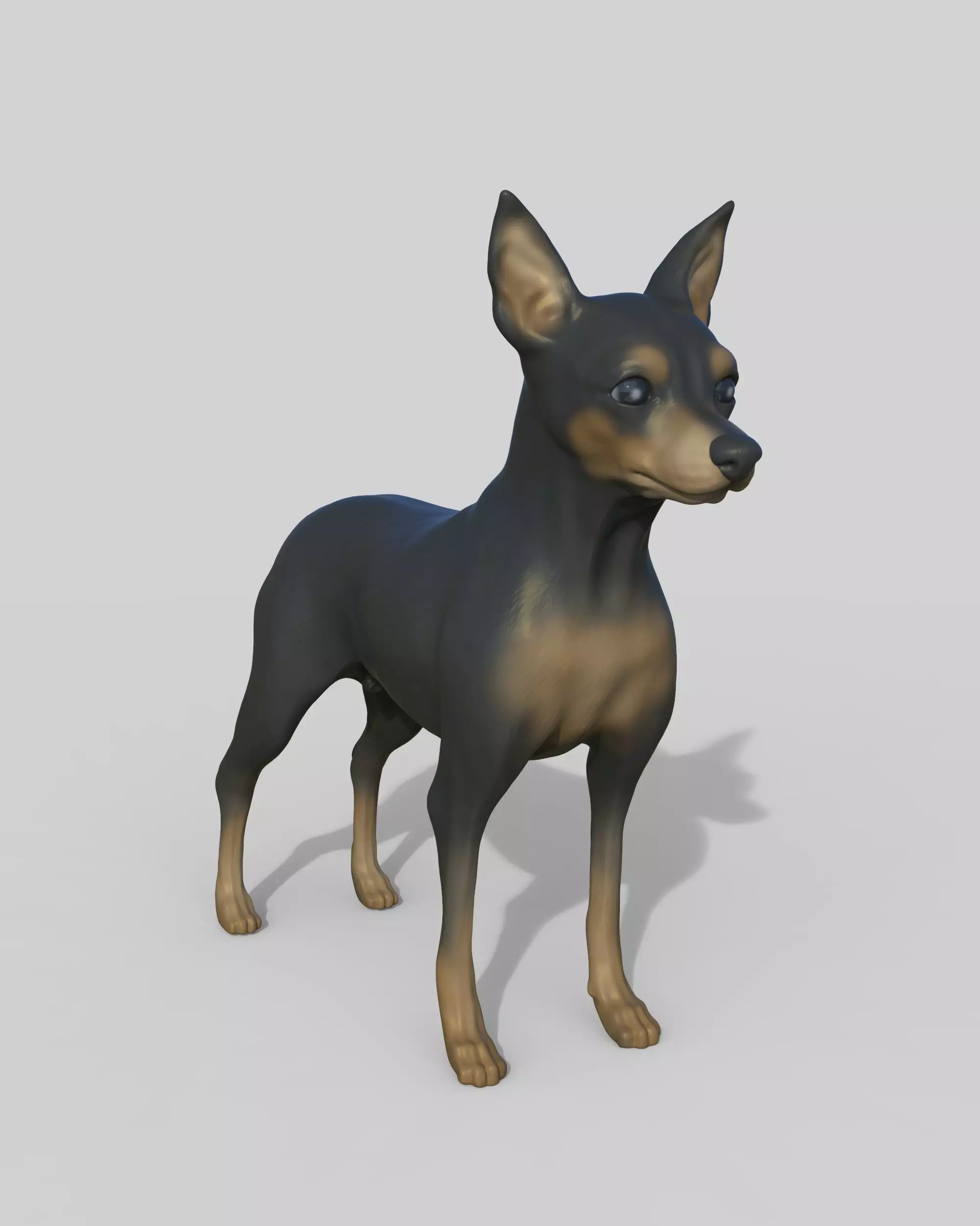 Pinscher miniatura 3D print model