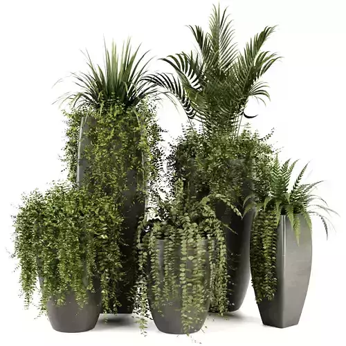 Indoorplants-Ivy plants in metal pot set-163 3D model