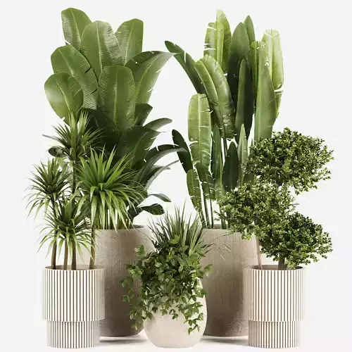 Indoor plants set160 3D model