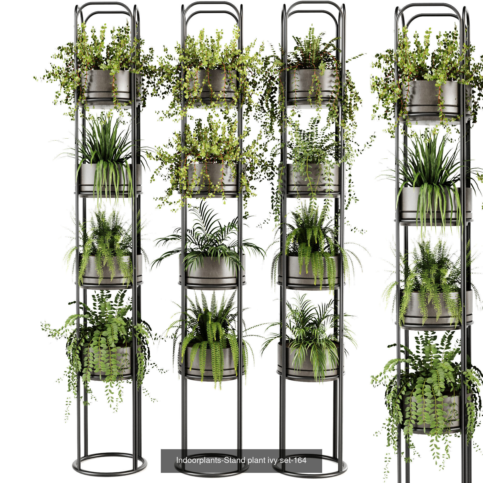 Indoor plants 3D Model Collection_6