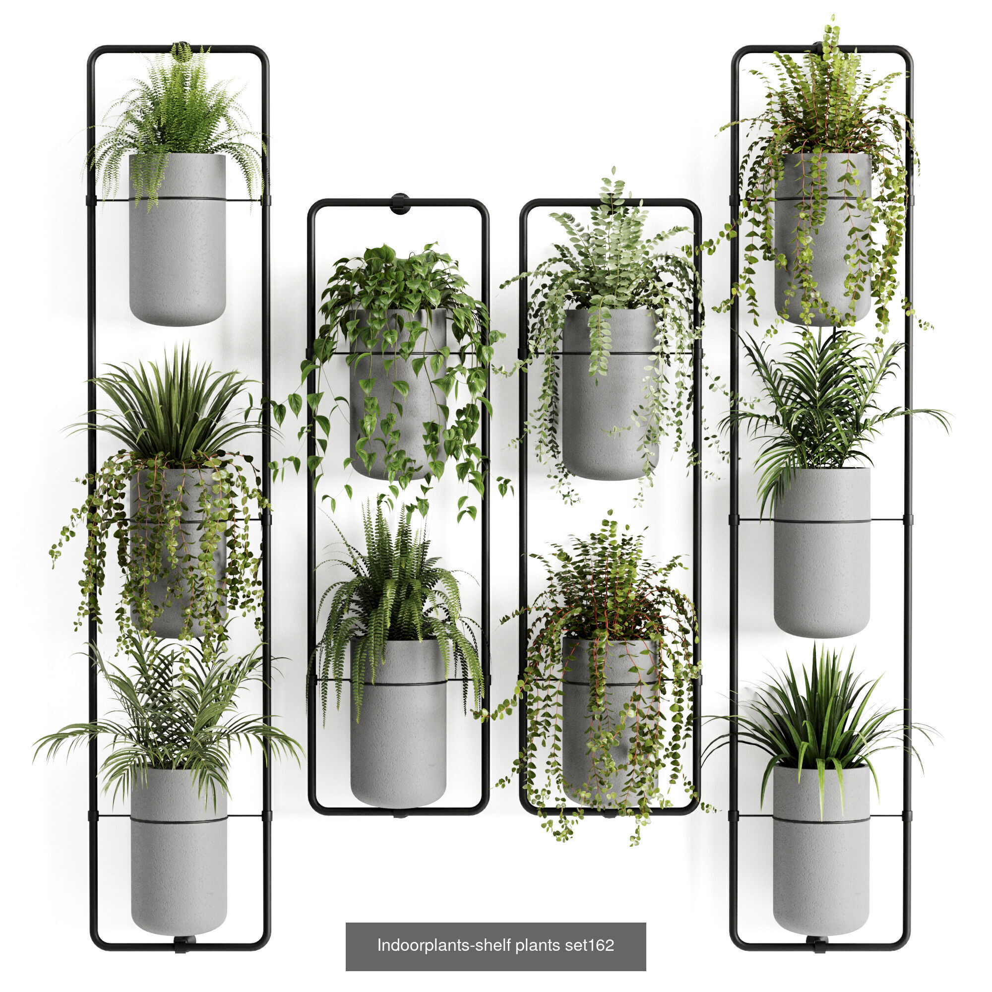 Indoor plants 3D Model Collection_8