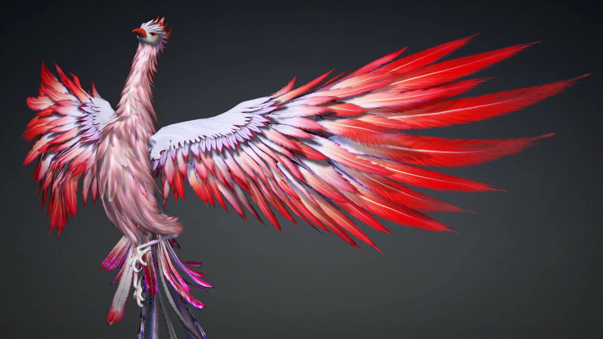 Phoenix-B2 3D model_2