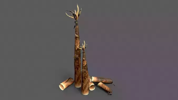 Bamboo shoots young sprouted small bamboo Low-poly 3D model