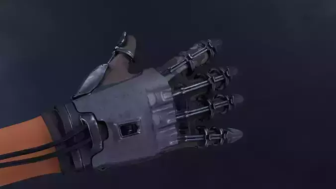Robotic Gloves 3D model
