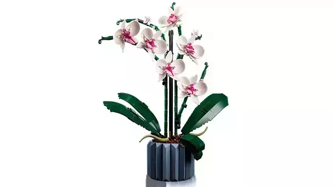 TwindBricks3D - 10311 Orchid - Elegant and Lifelike Floral Decor 3D print model