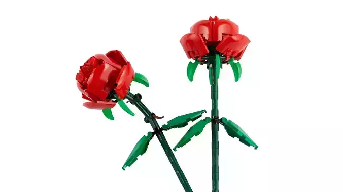 TwindBricks3D - 40460 Roses