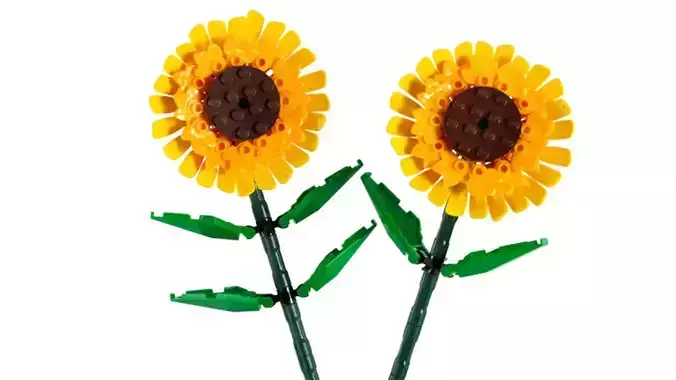 TwindBricks3D - 40524 Sunflowers
