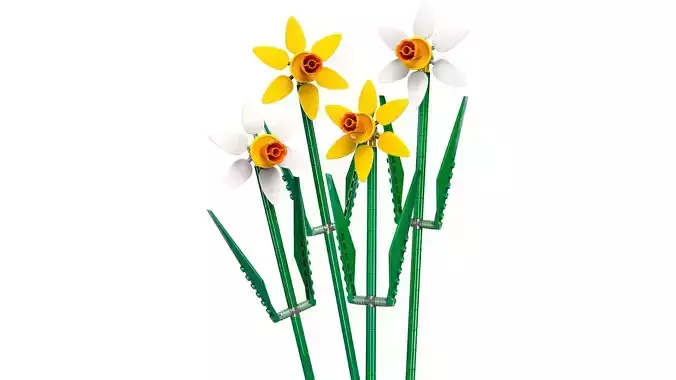 TwindBricks3D - 40646 Daffodils