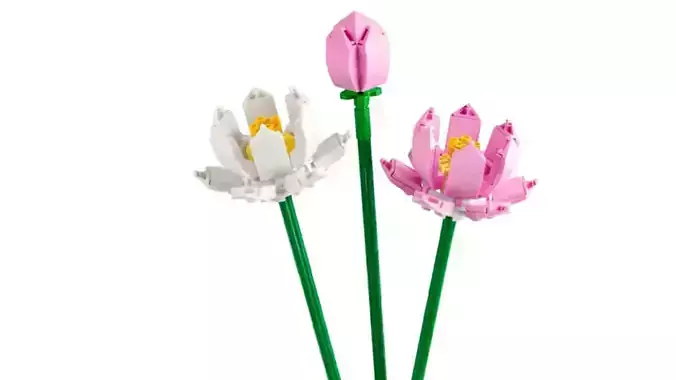 TwindBricks3D - 40647 Lotus Flowers