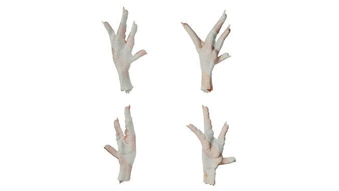 Anydrafts Chicken feet 01