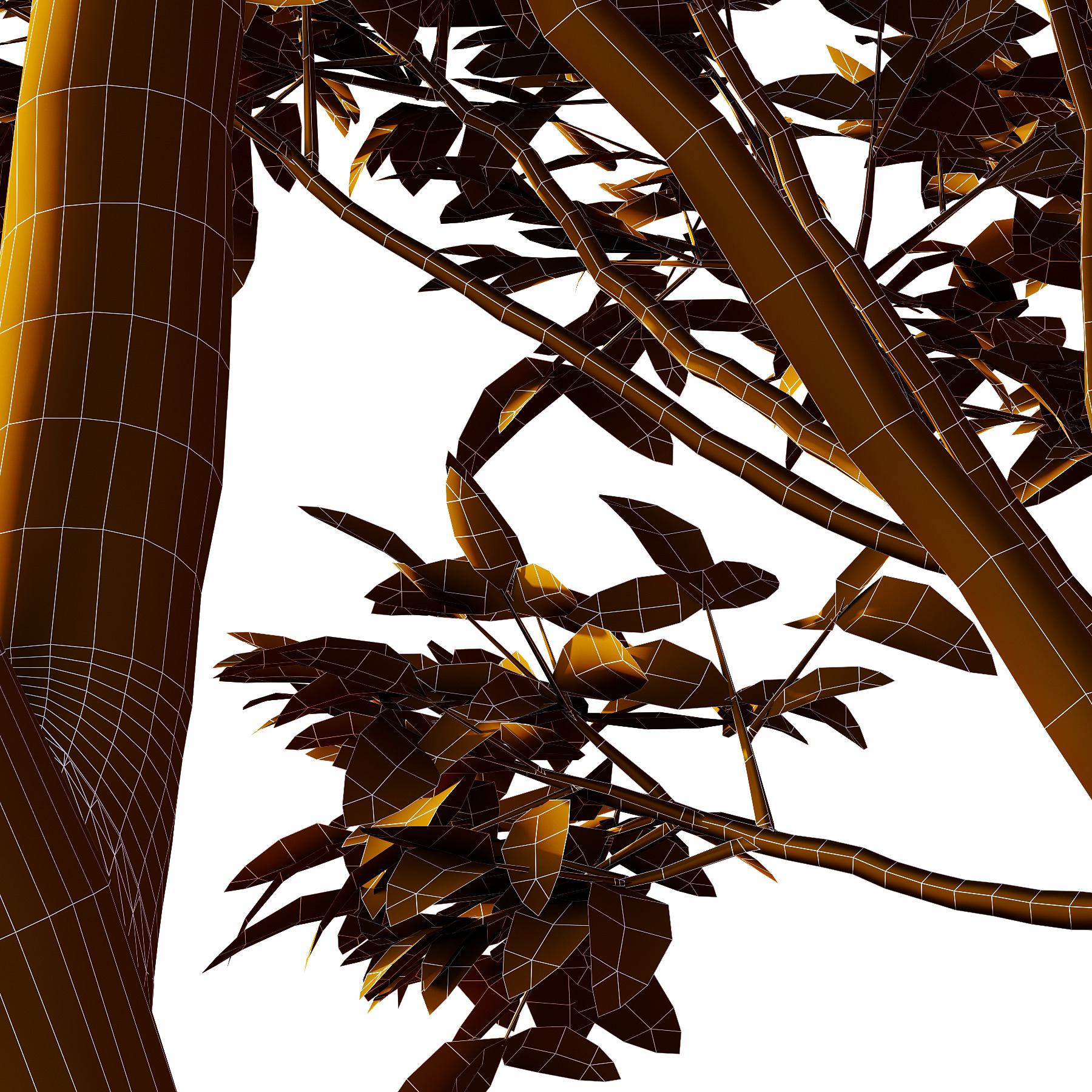 Eucalyptus Robusta Trees 01 3D model_3