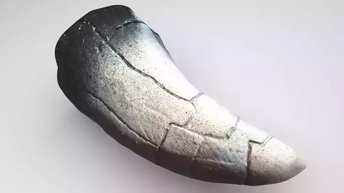 Dragon Tooth 3D model