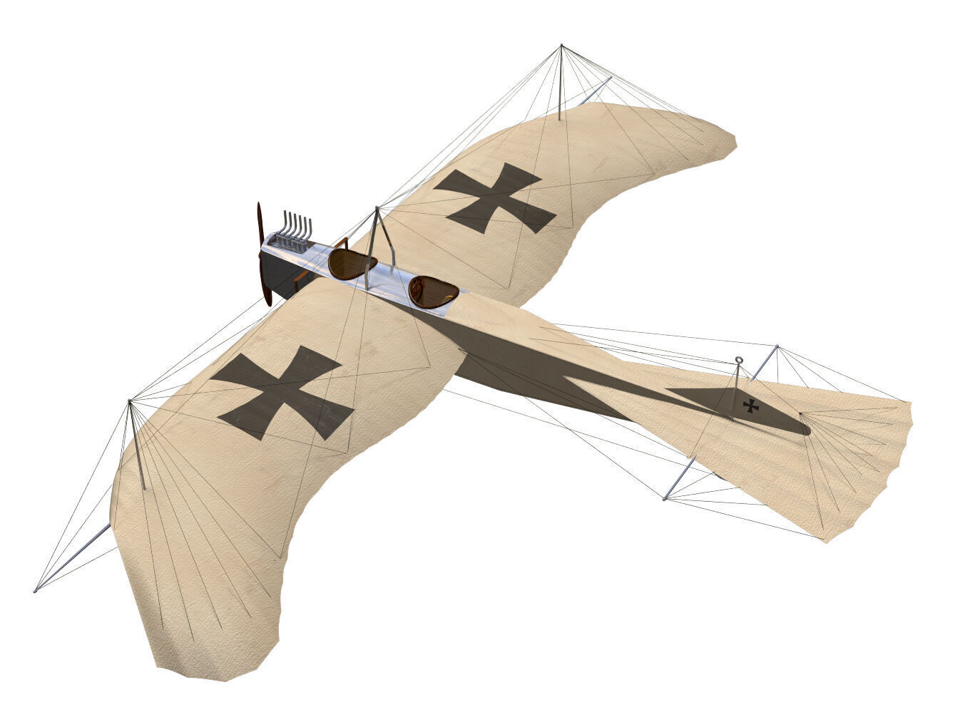 Etrich Taube 3D model_1