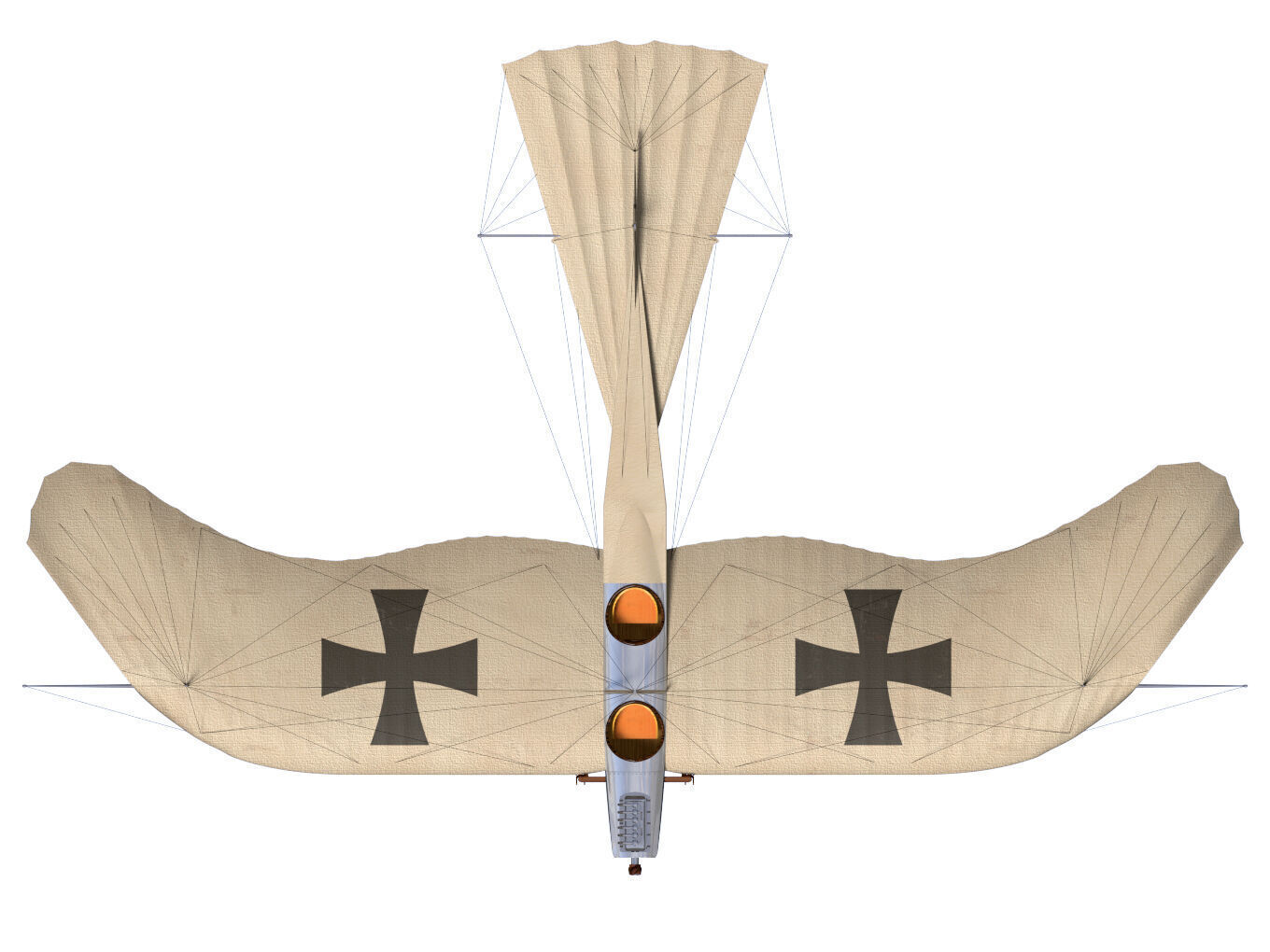 Etrich Taube 3D model_10