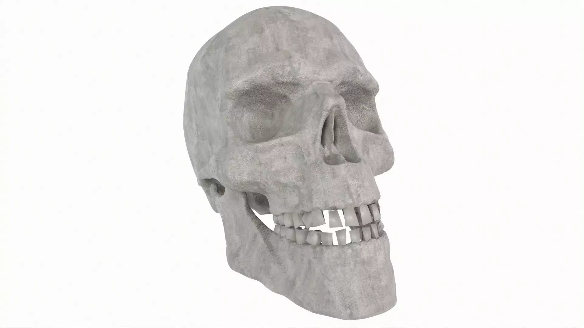 Human Skull 3D model_0
