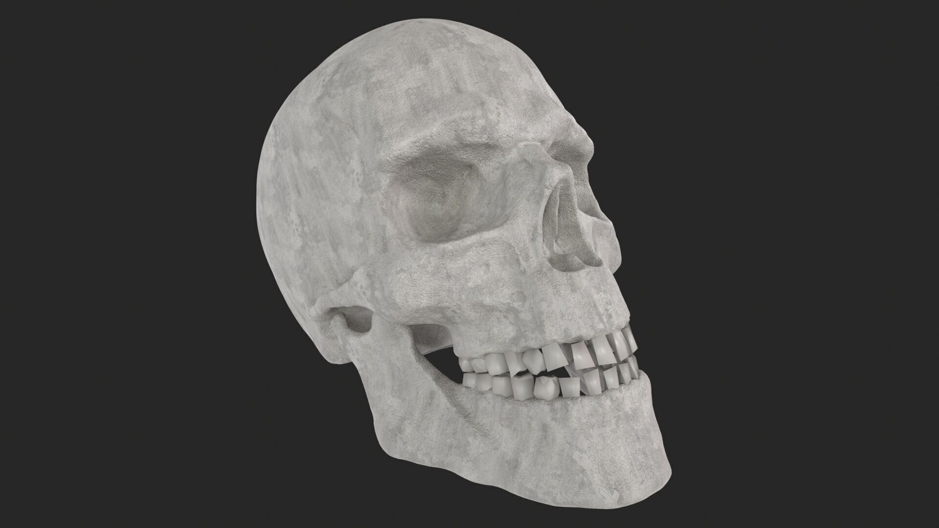 Human Skull 3D model_3