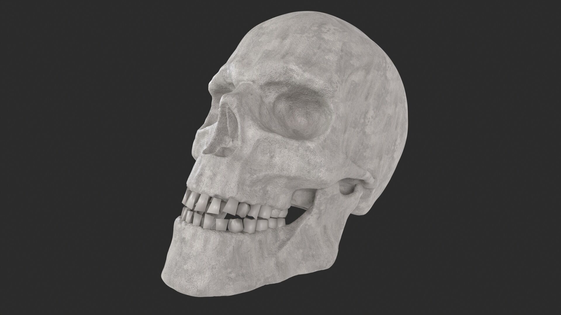 Human Skull 3D model_10