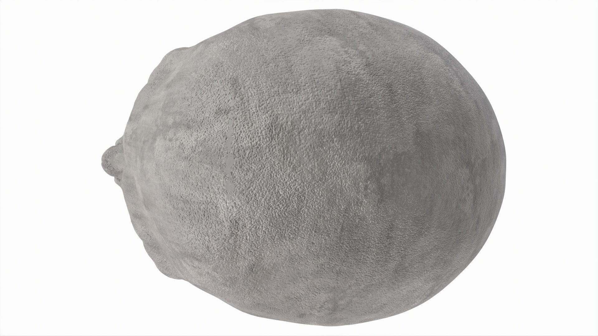 Human Skull 3D model_9