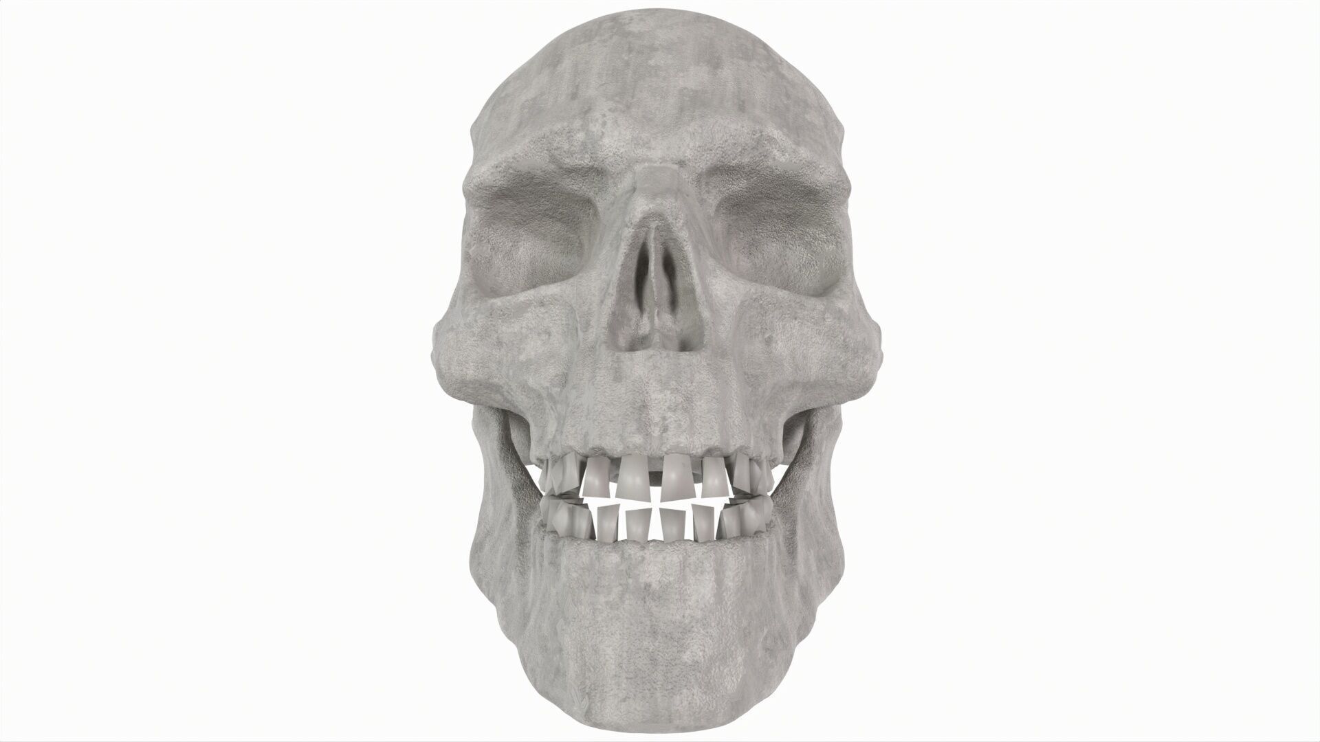 Human Skull 3D model_6