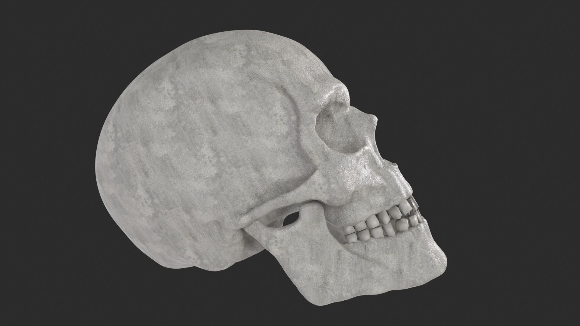 Human Skull 3D model_2