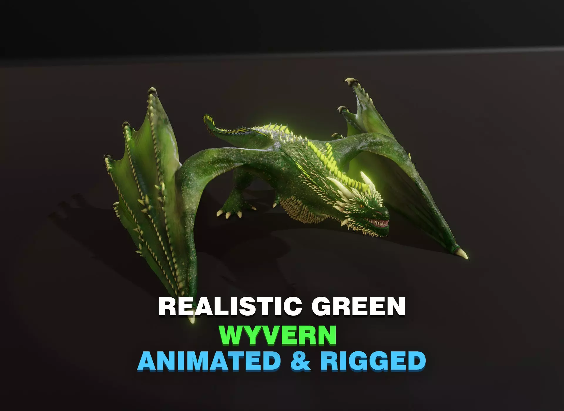 Realistic Green Wyvern Animated 3D Model Low-poly 3D model_0