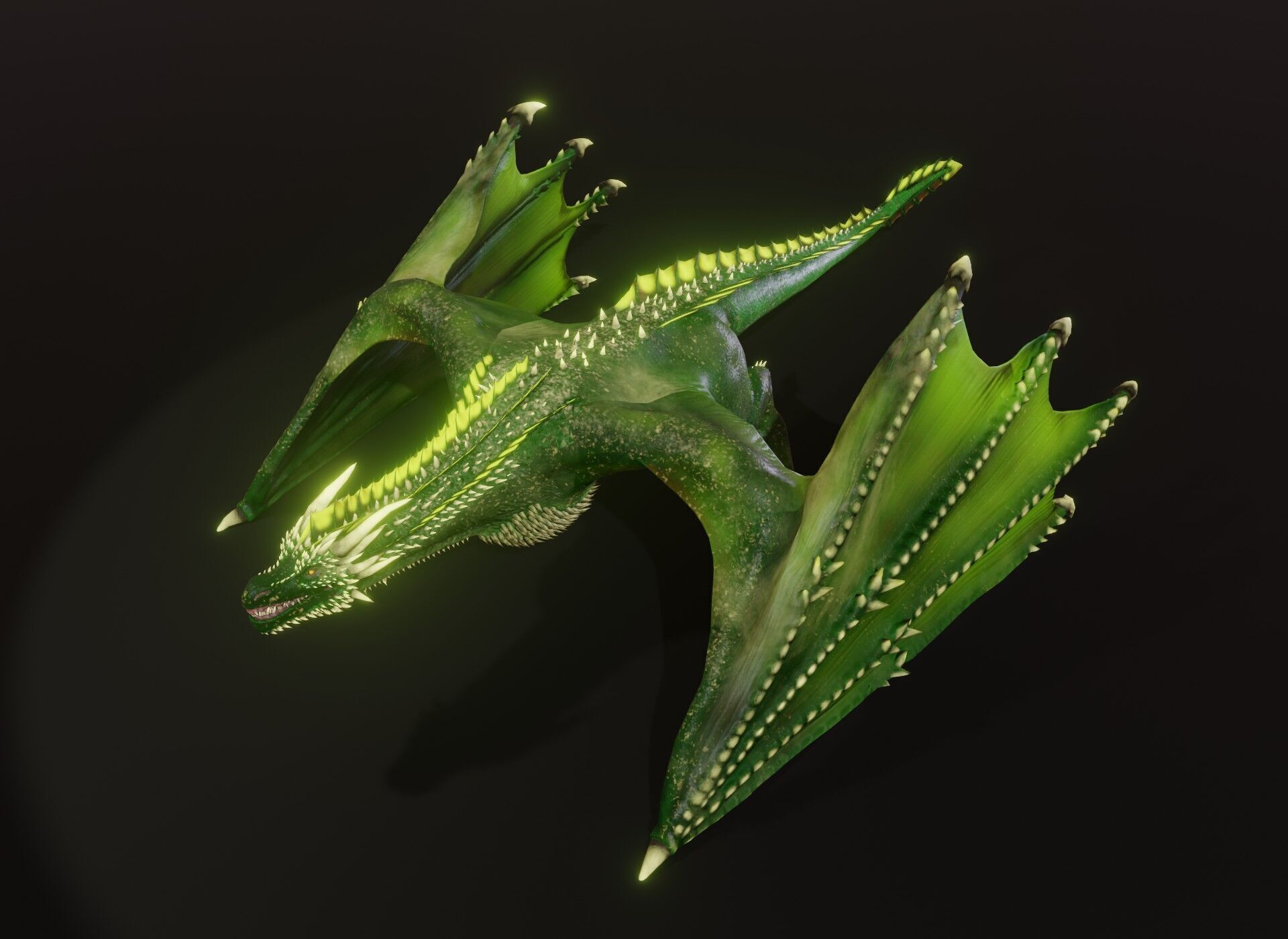 Realistic Green Wyvern Animated 3D Model Low-poly 3D model_15
