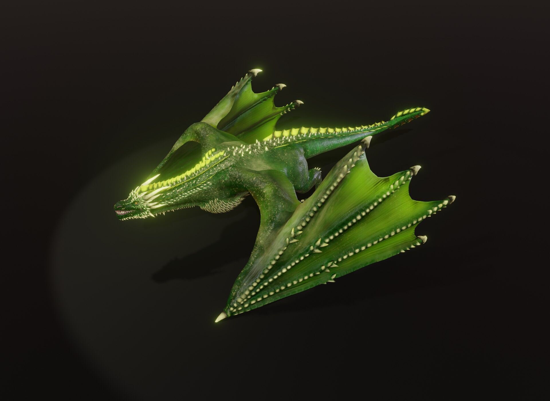 Realistic Green Wyvern Animated 3D Model Low-poly 3D model_16