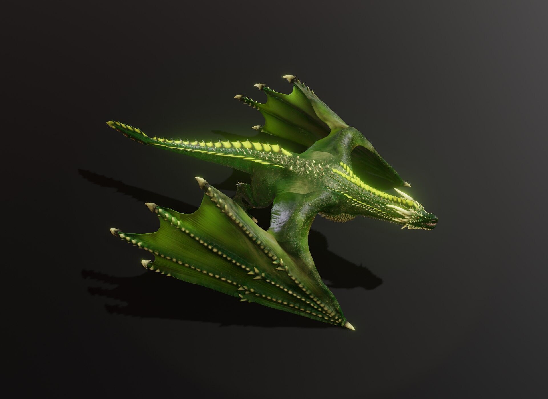 Realistic Green Wyvern Animated 3D Model Low-poly 3D model_7