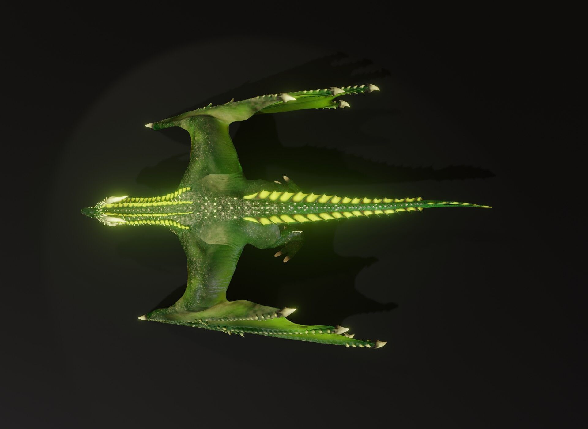 Realistic Green Wyvern Animated 3D Model Low-poly 3D model_11