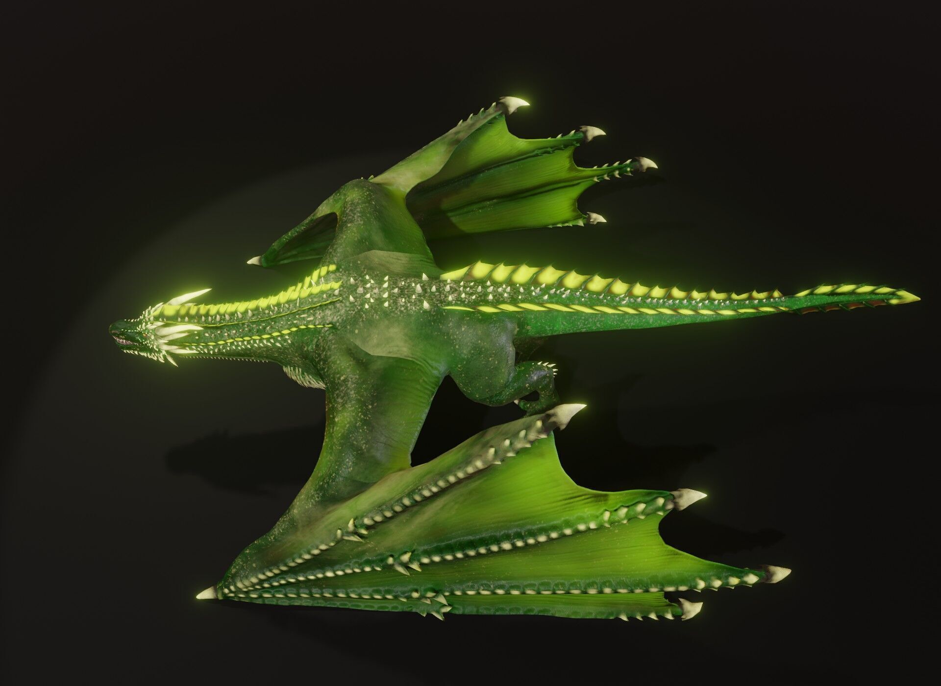 Realistic Green Wyvern Animated 3D Model Low-poly 3D model_9