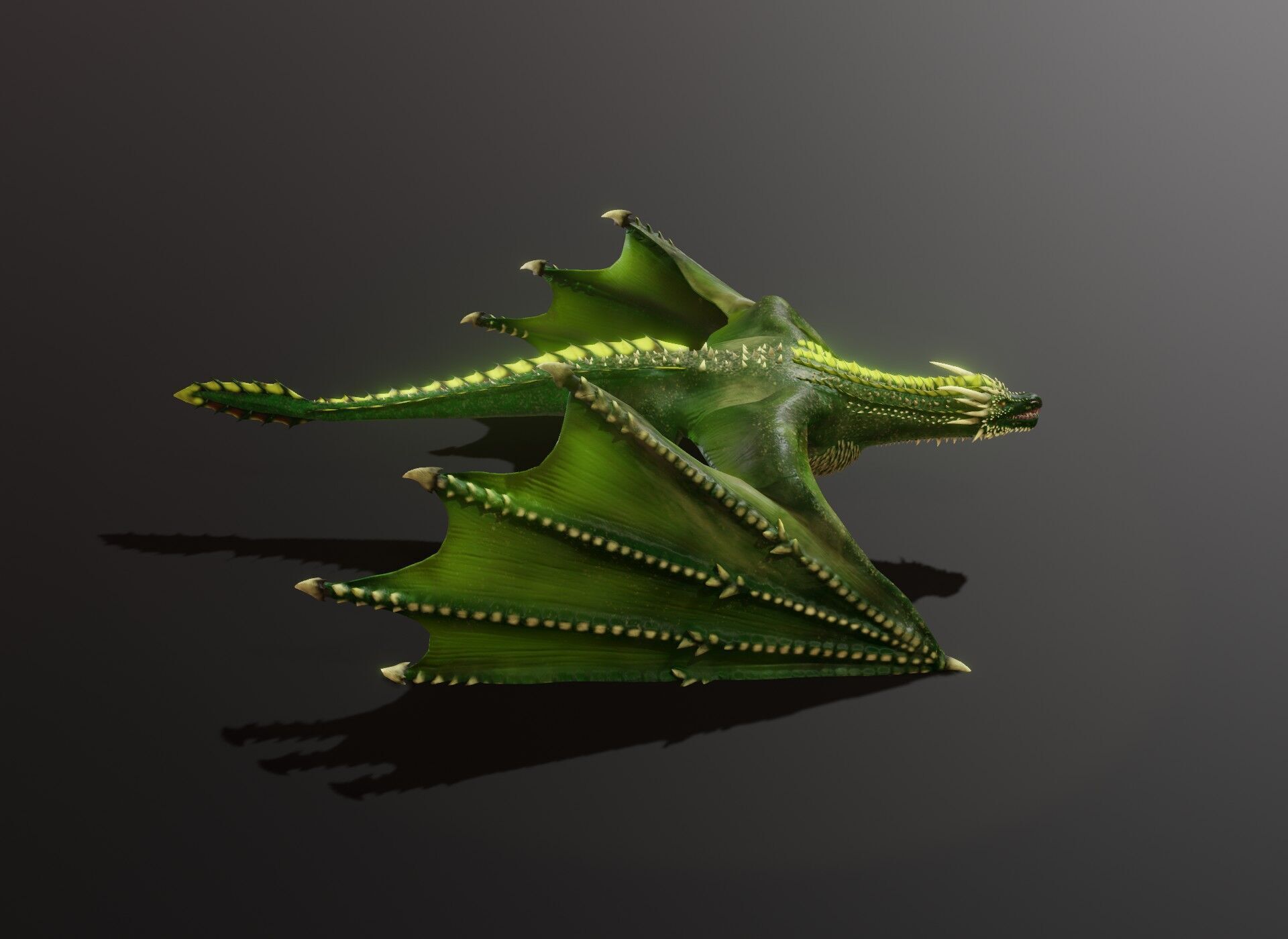Realistic Green Wyvern Animated 3D Model Low-poly 3D model_17