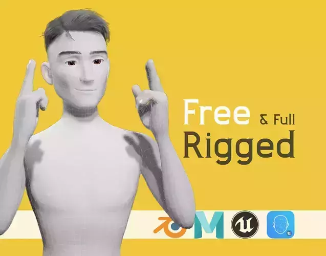 Free Stylized Cartoon Male Rigged Toon Young Man Free low-poly 3D model
