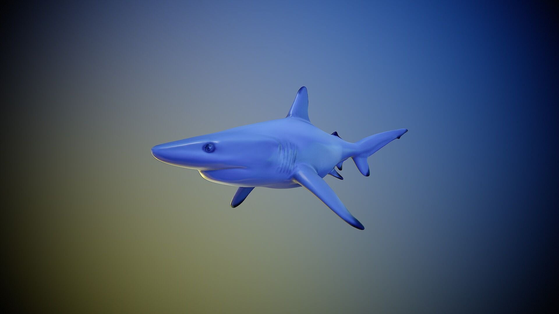 Shark rigging animation PBR Low-poly 3D model_2