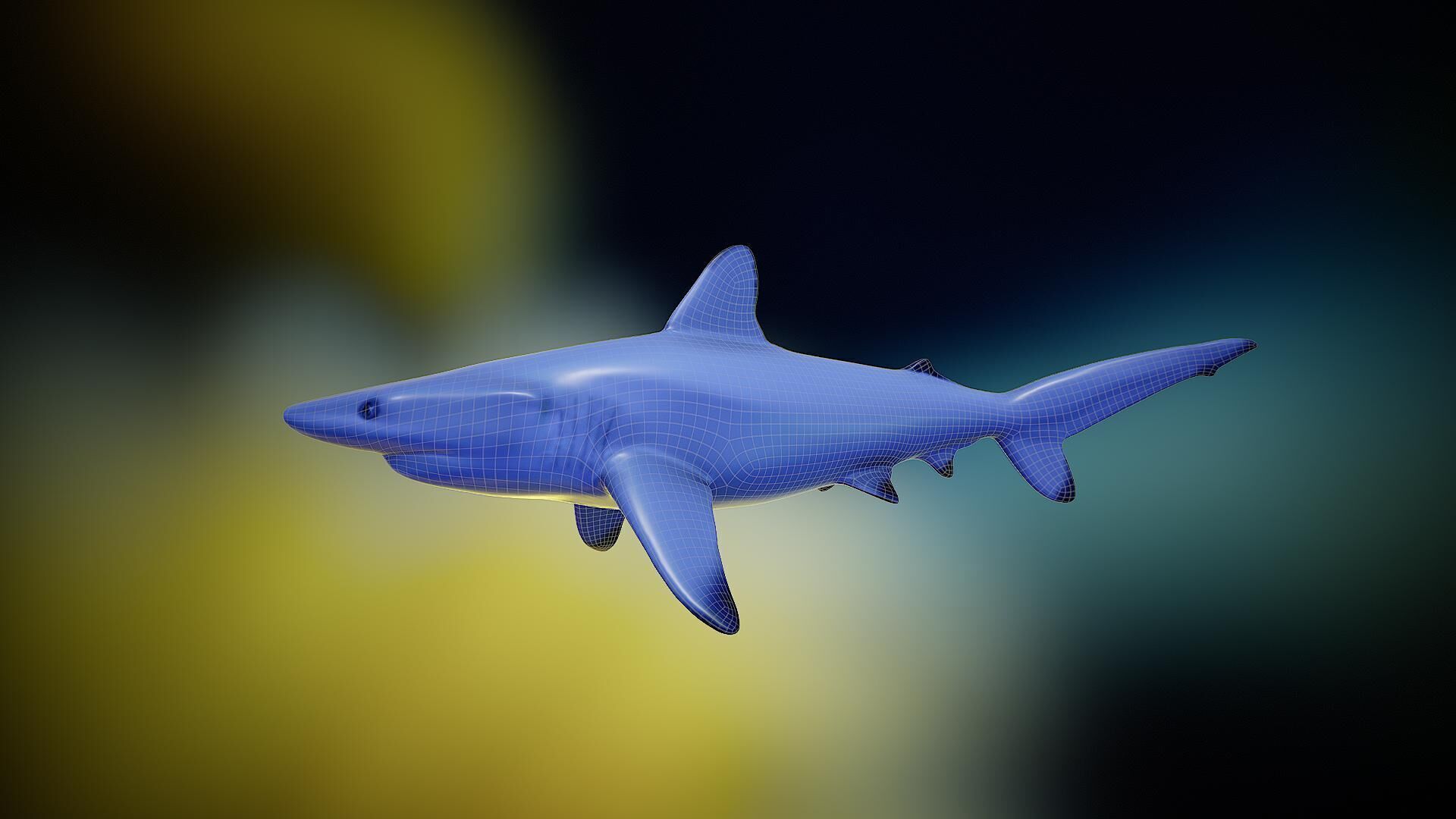 Shark rigging animation PBR Low-poly 3D model_10