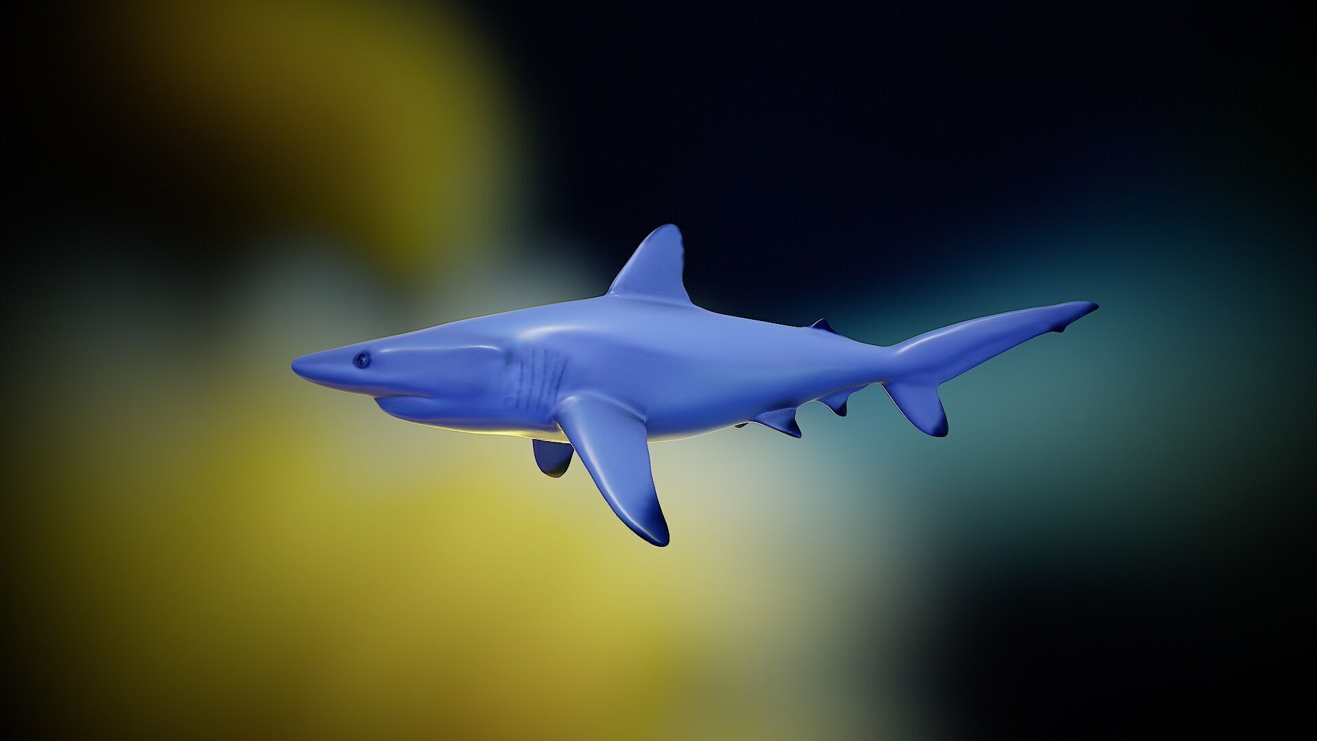 Shark rigging animation PBR Low-poly 3D model_8