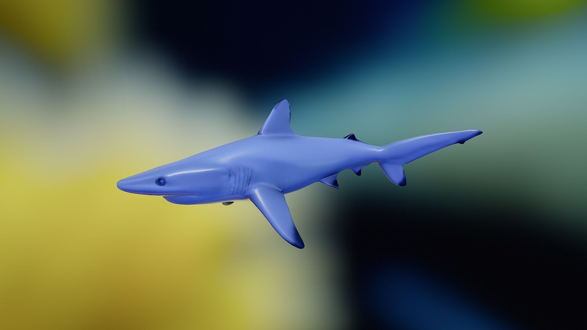 Shark rigging animation PBR Low-poly 3D model_6