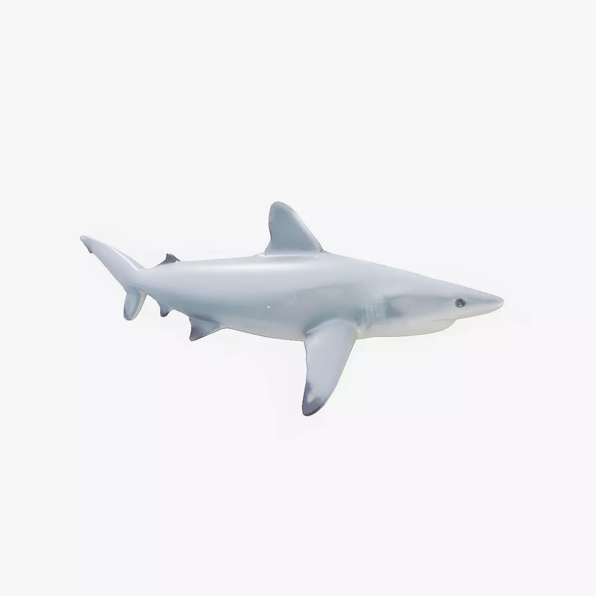 Shark rigging animation PBR Low-poly 3D model_0