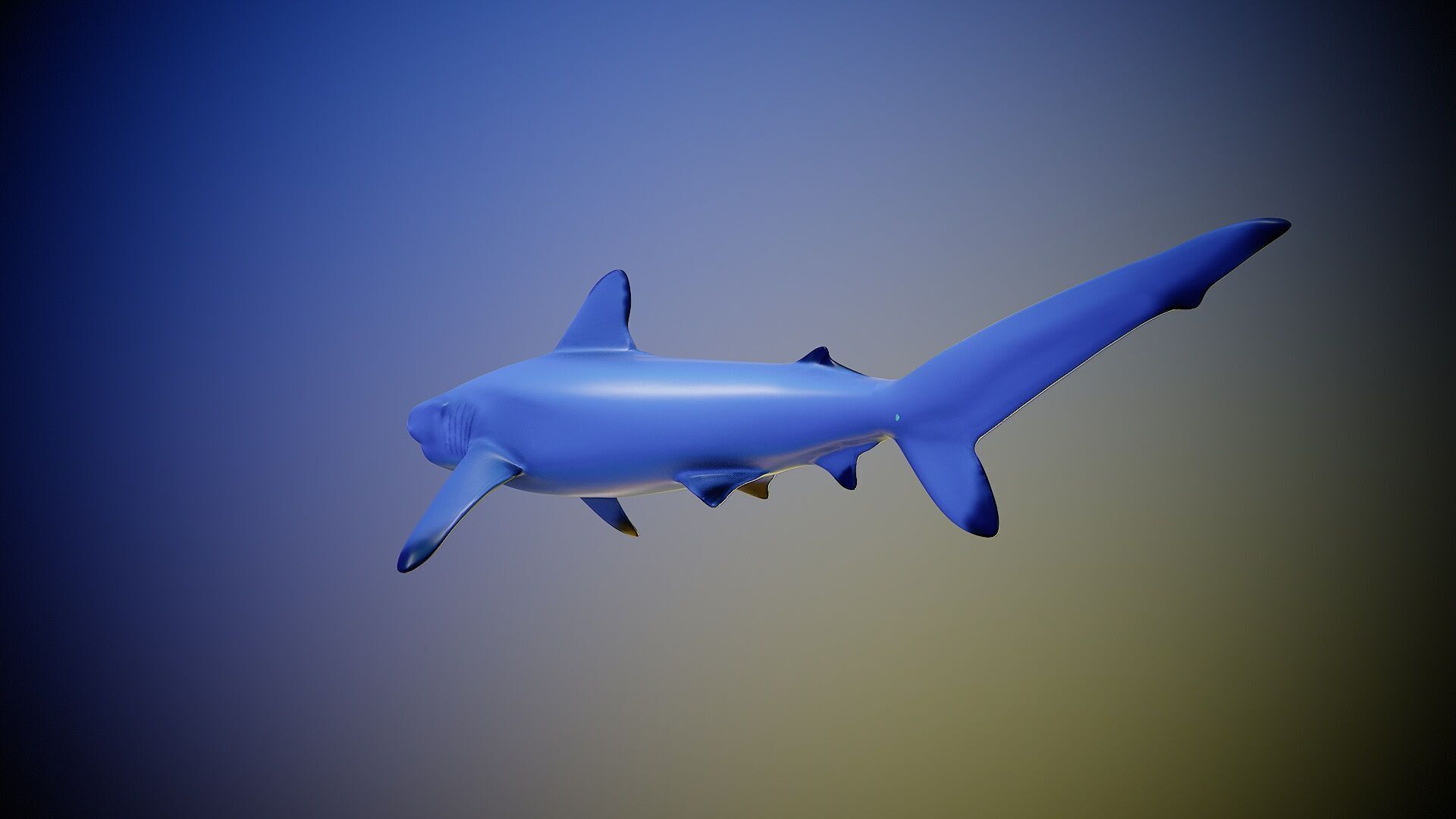 Shark rigging animation PBR Low-poly 3D model_3