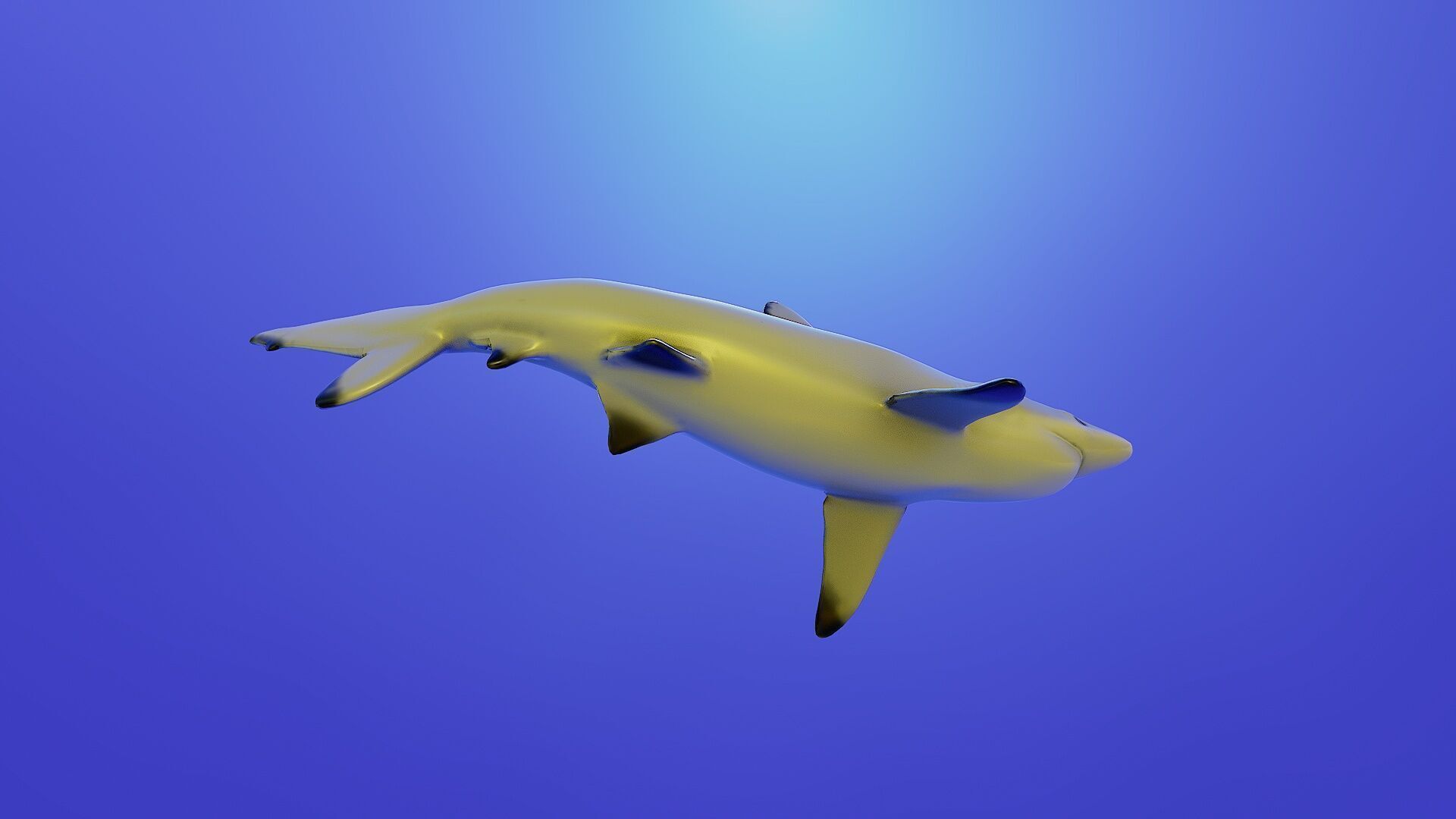 Shark rigging animation PBR Low-poly 3D model_5