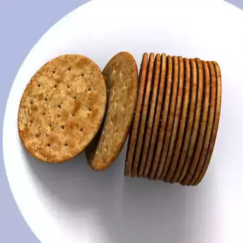 Salty cracker biscuit