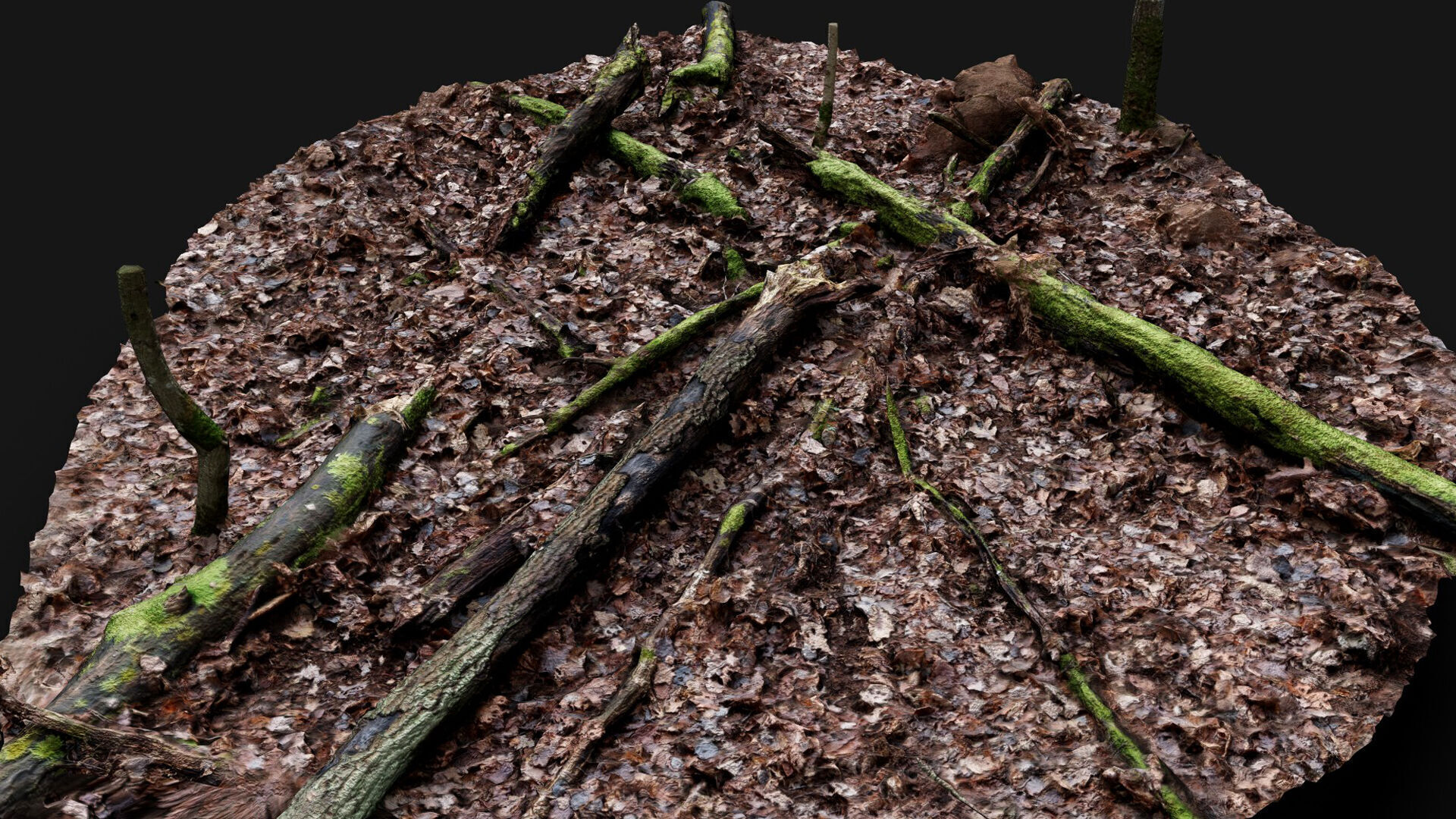 forest ground trees branches debris pt2 photogrammetry Low-poly 3D model_2
