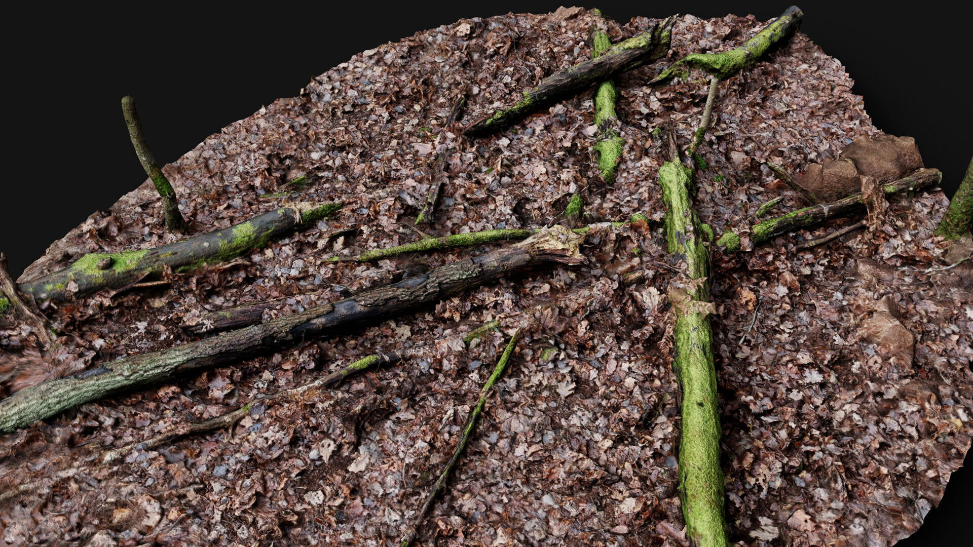 forest ground trees branches debris pt2 photogrammetry Low-poly 3D model_3