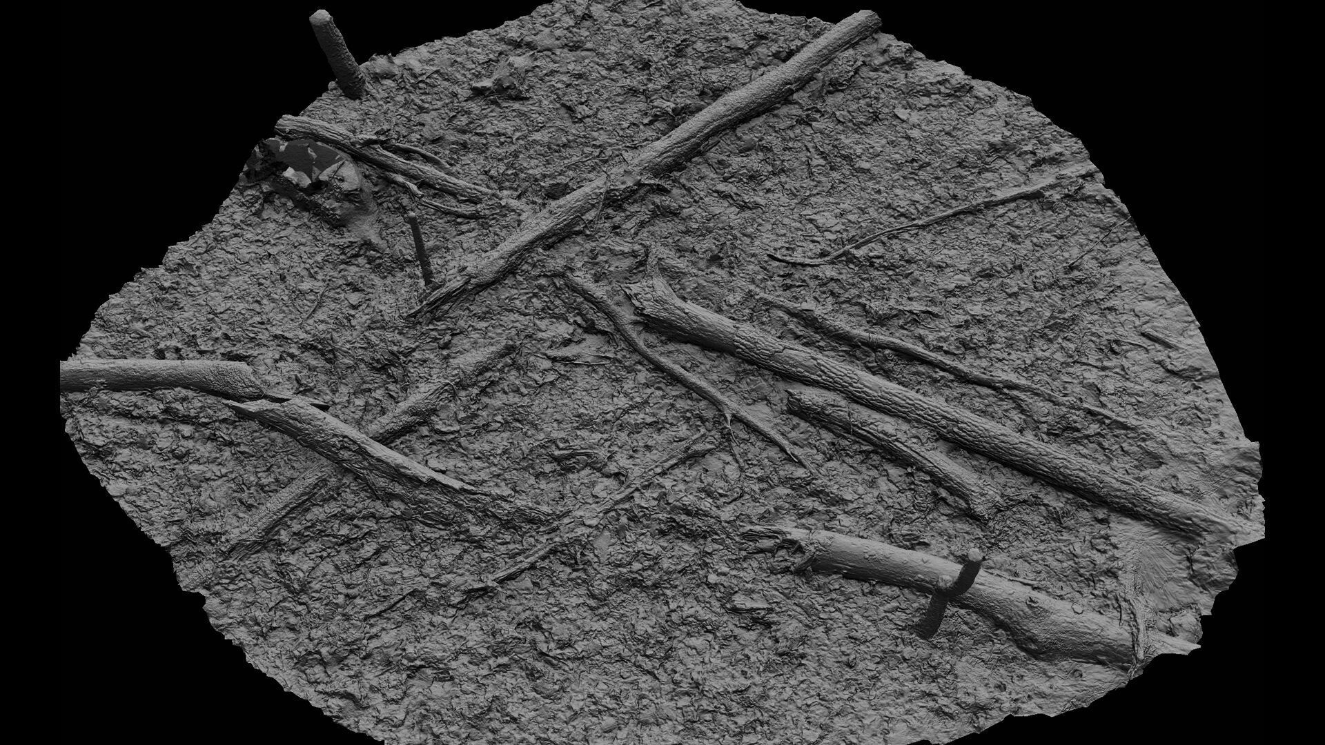 forest ground trees branches debris pt2 photogrammetry Low-poly 3D model_7