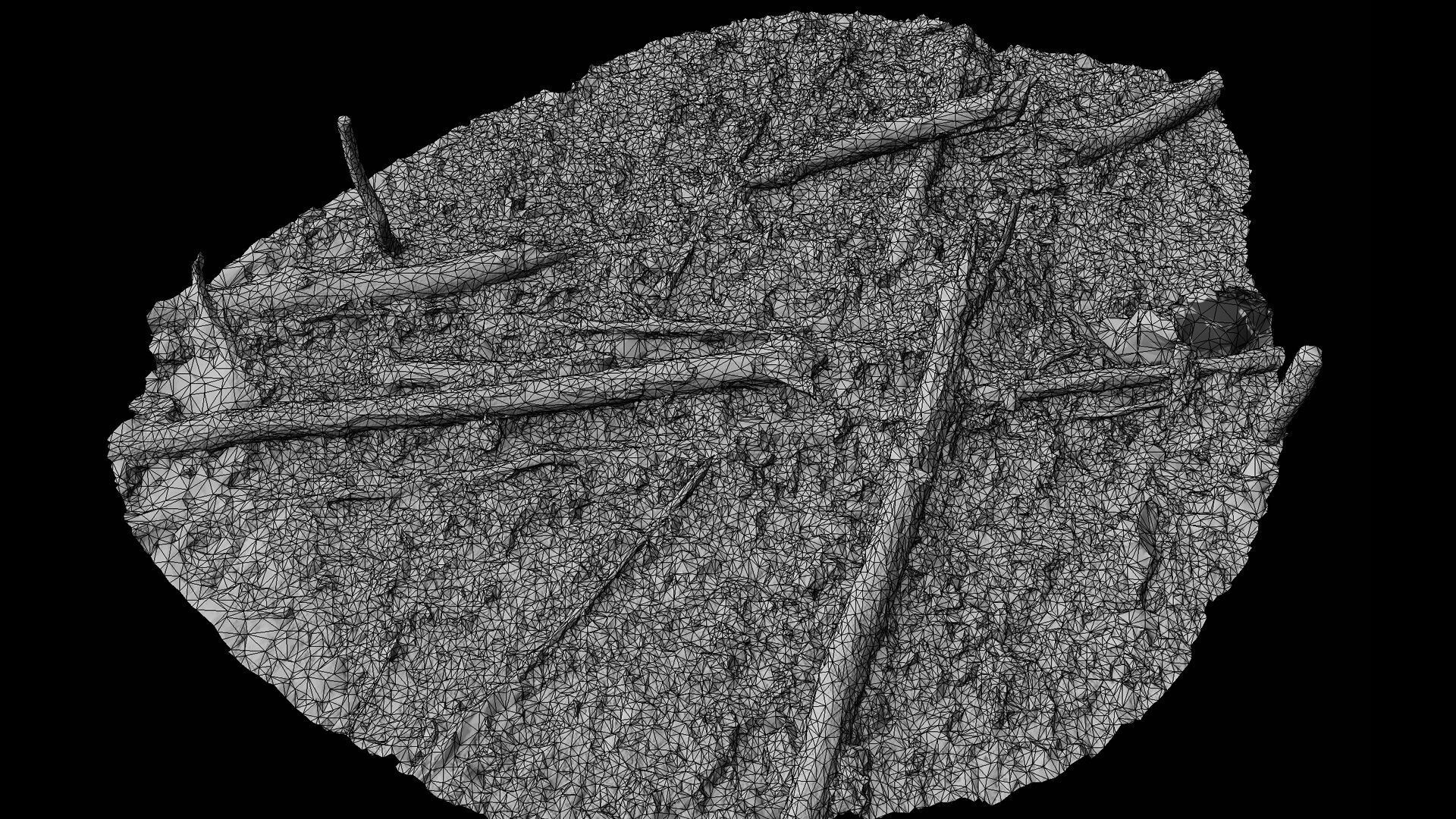 forest ground trees branches debris pt2 photogrammetry Low-poly 3D model_8