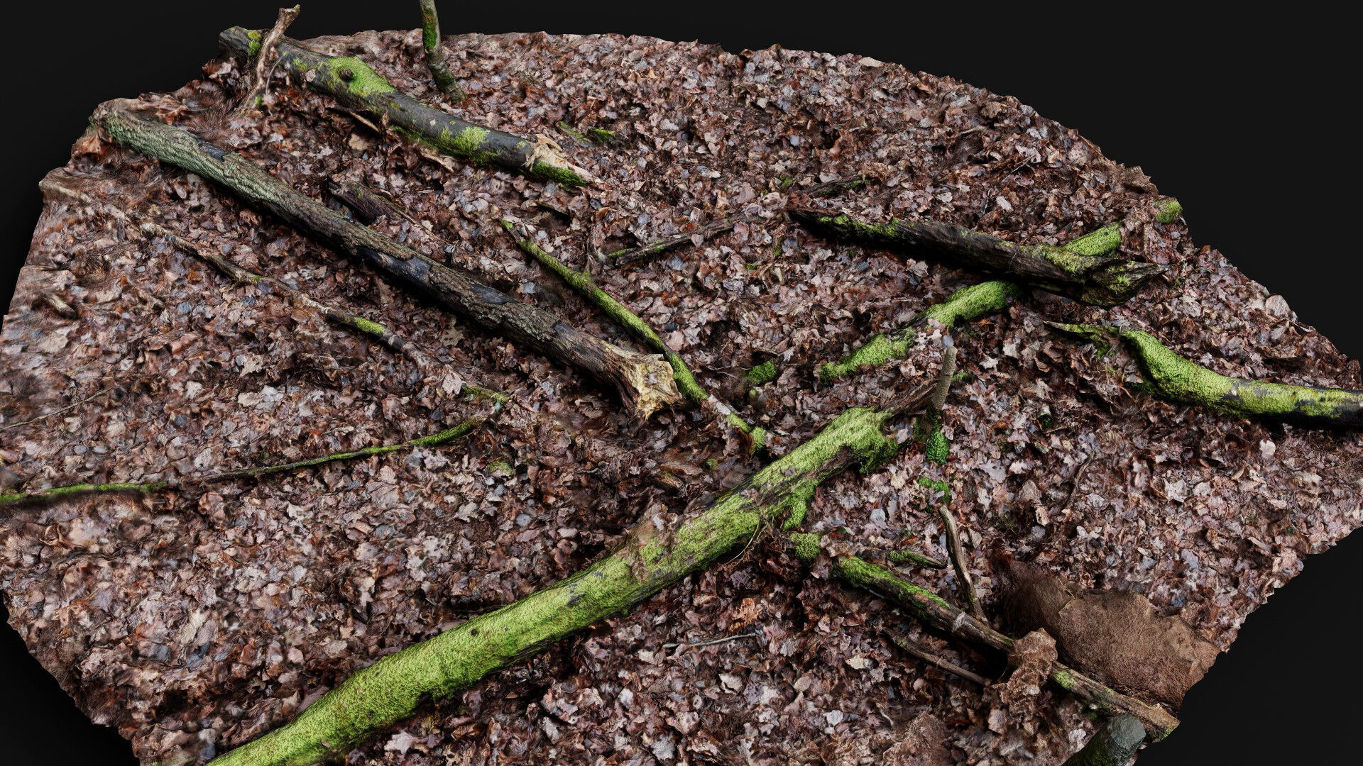 forest ground trees branches debris pt2 photogrammetry Low-poly 3D model_4