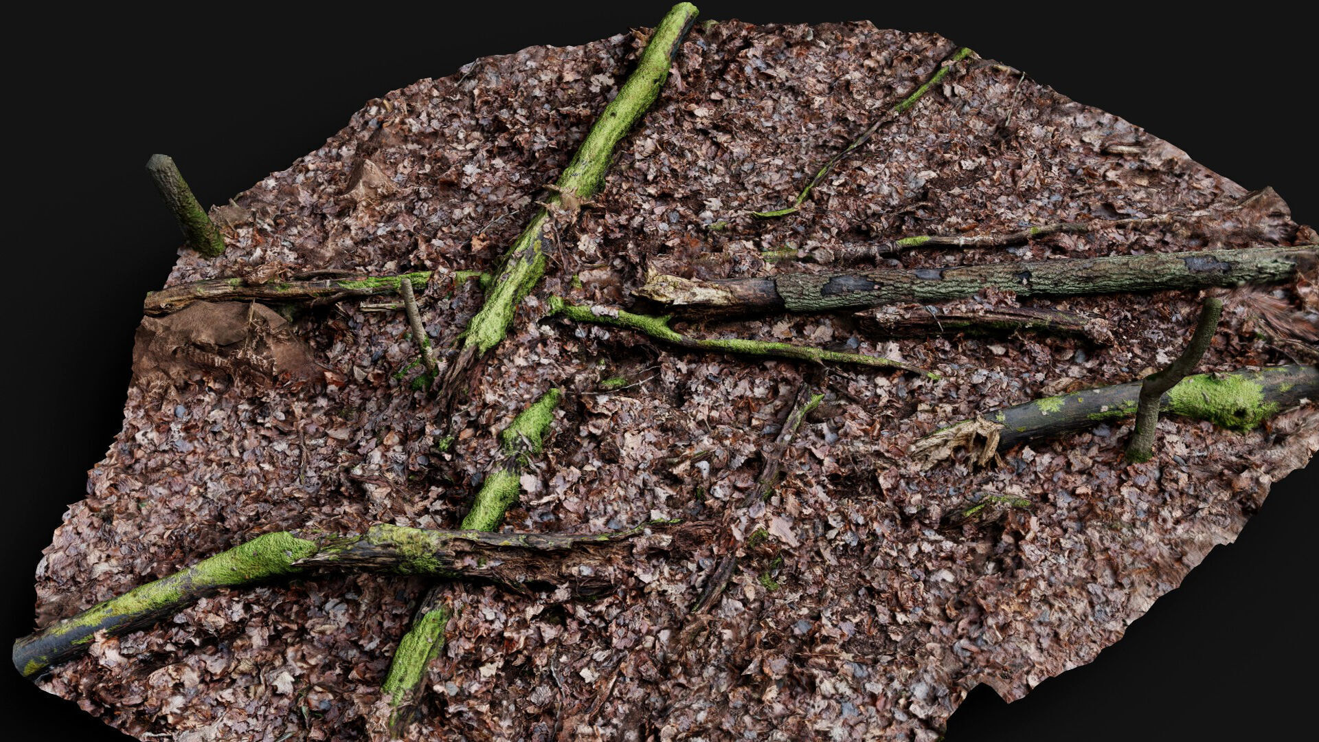 forest ground trees branches debris pt2 photogrammetry Low-poly 3D model_5