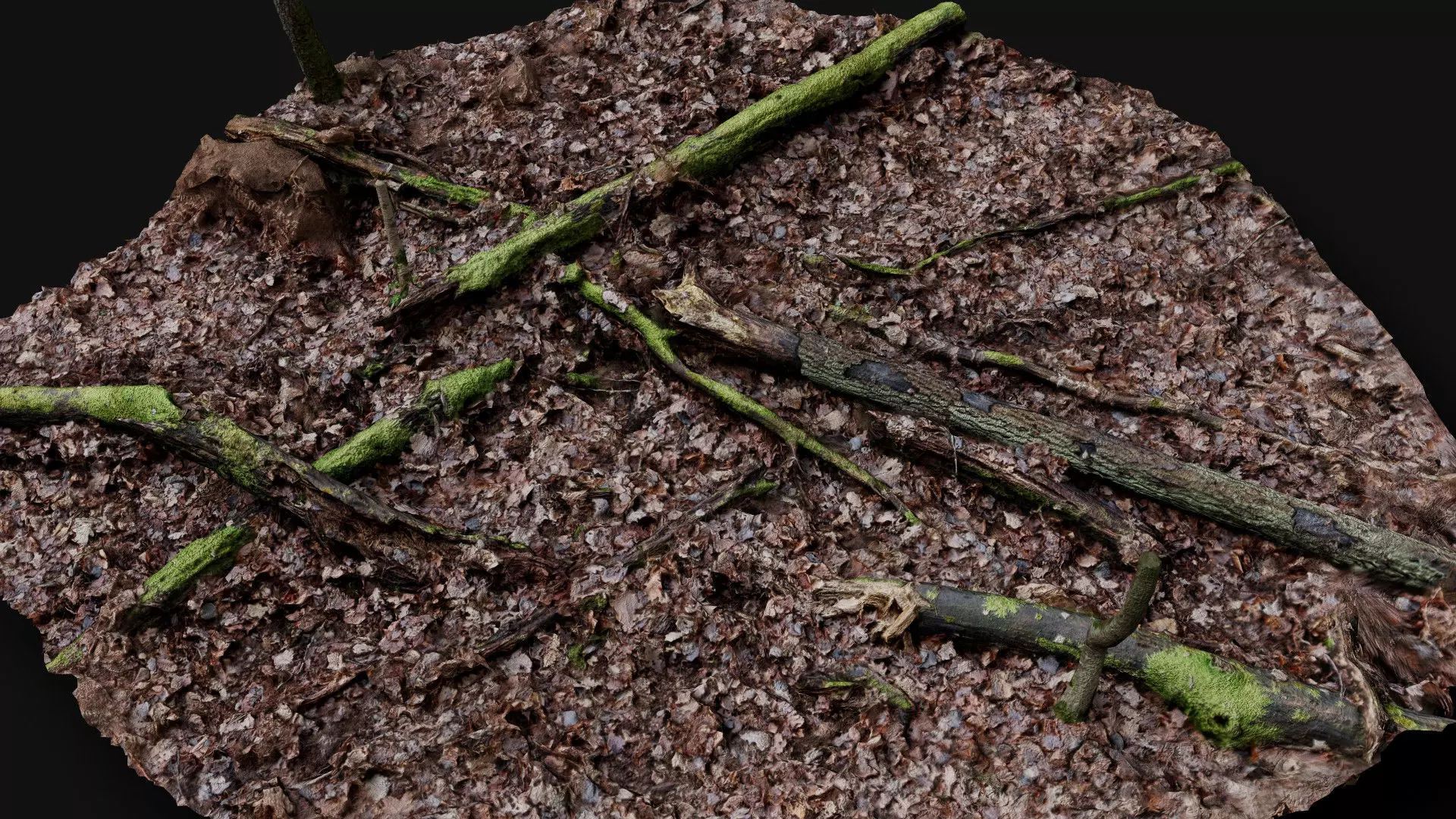 forest ground trees branches debris pt2 photogrammetry Low-poly 3D model_0