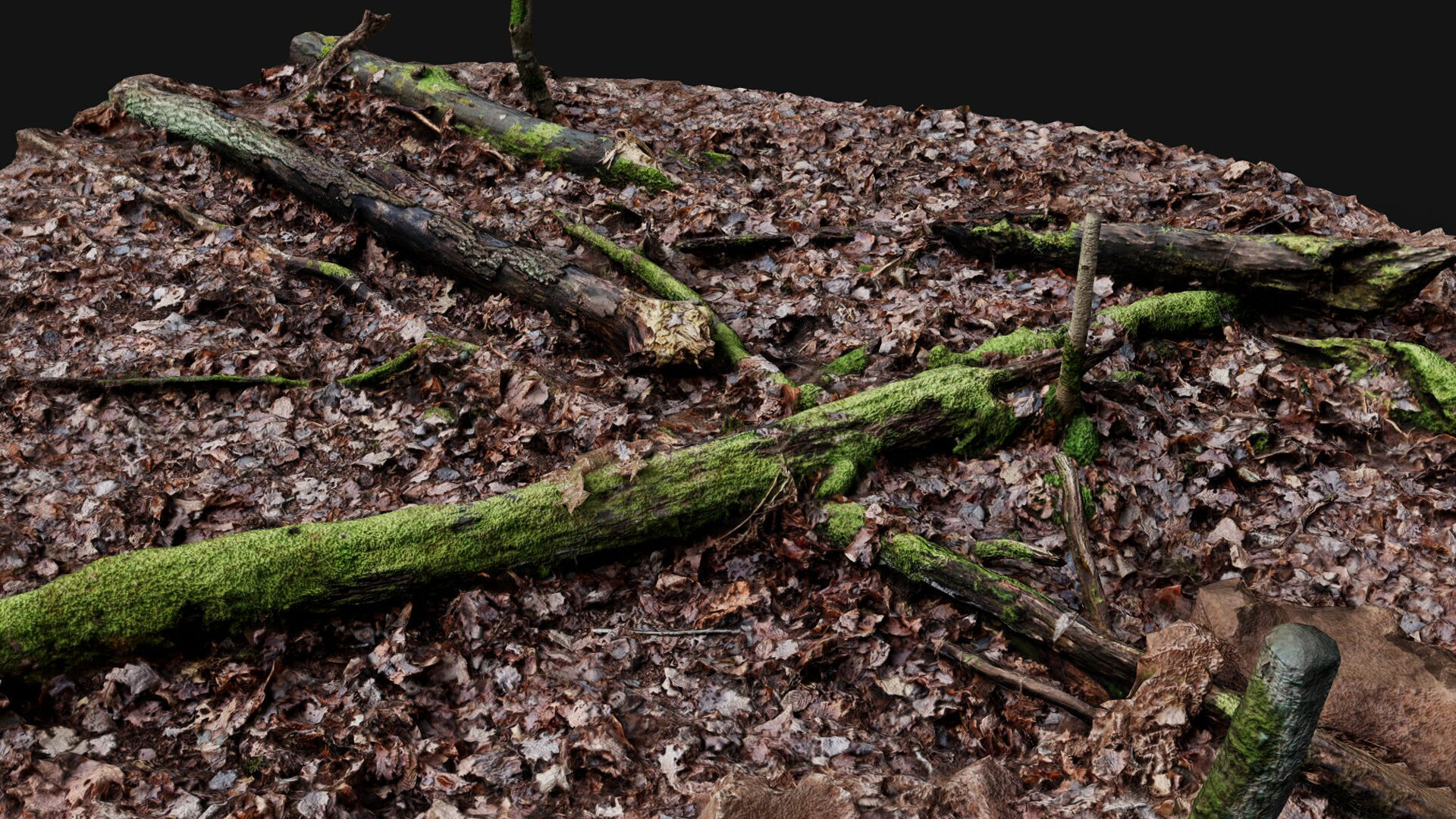forest ground trees branches debris pt2 photogrammetry Low-poly 3D model_1