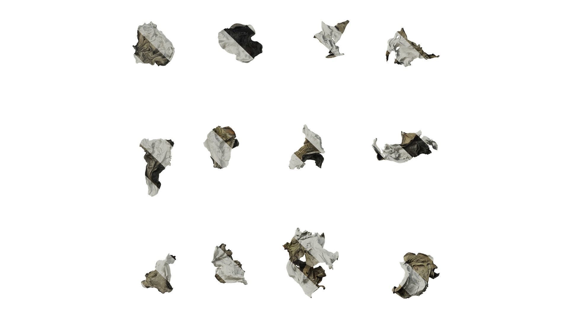 Anydrafts Dried black fungus 01 Texture
