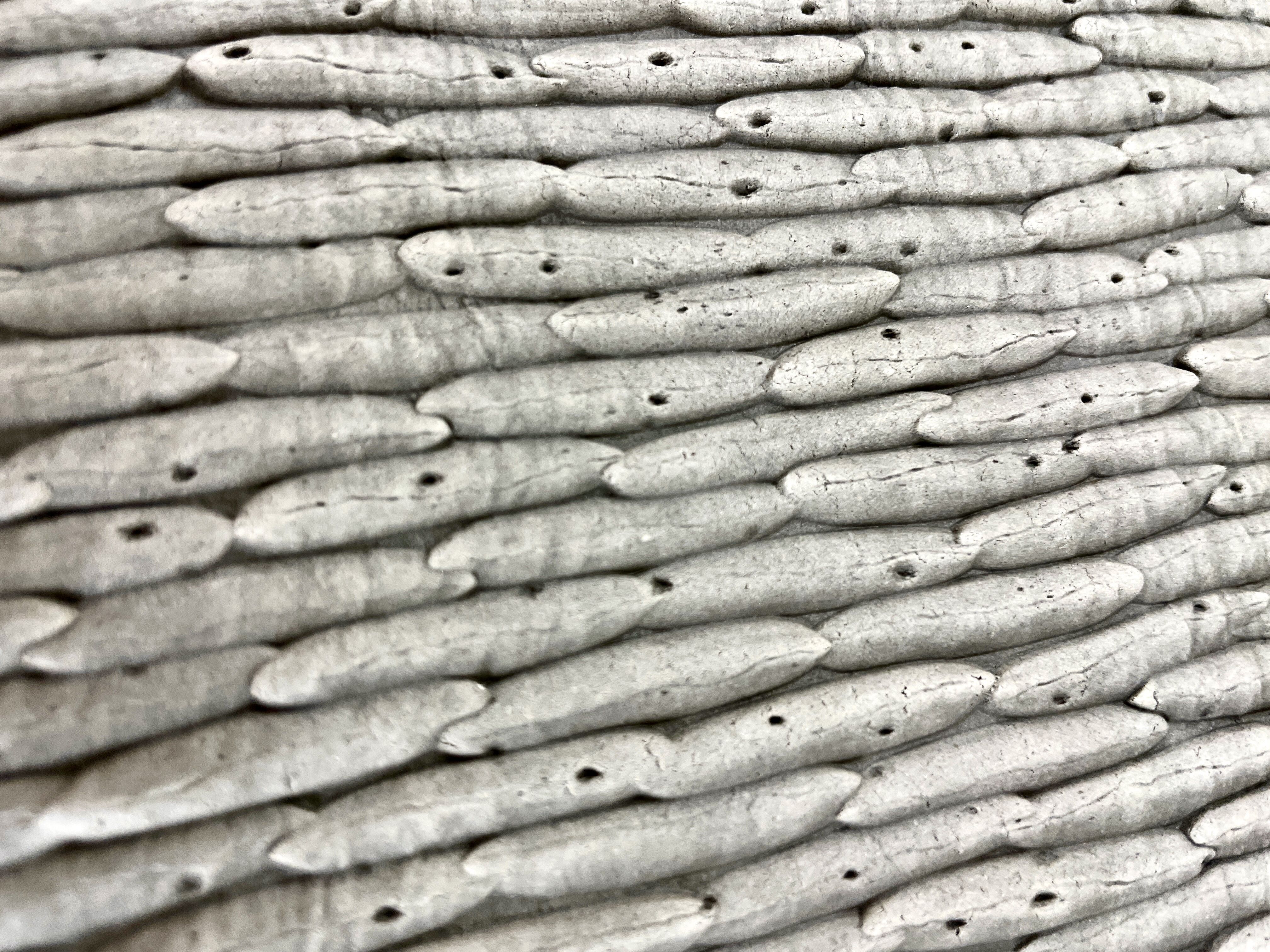 Frontline Crusaders Texture Roller and Terrain Set 3D print model_37